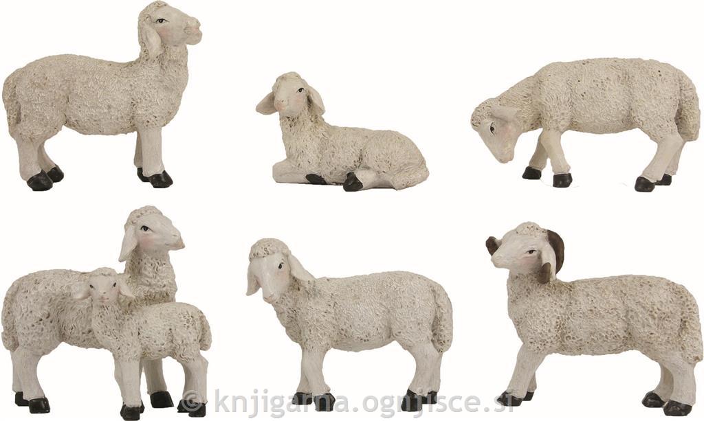 OVCE 6-DELNI KOMPLET 13cm