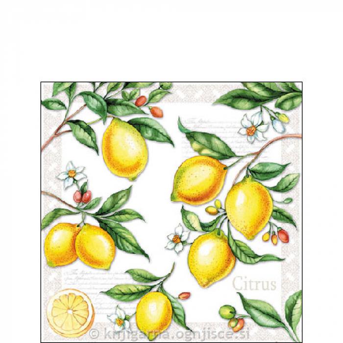 PRTIČKI NAMIZNI 25X25 CITRUS