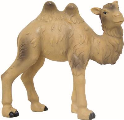 KAMELA 8,8cm