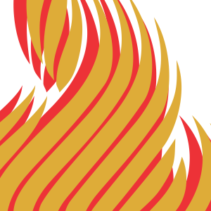 PRTIČKI NAMIZNI 33x33 MEDENJAKOVA HIŠA