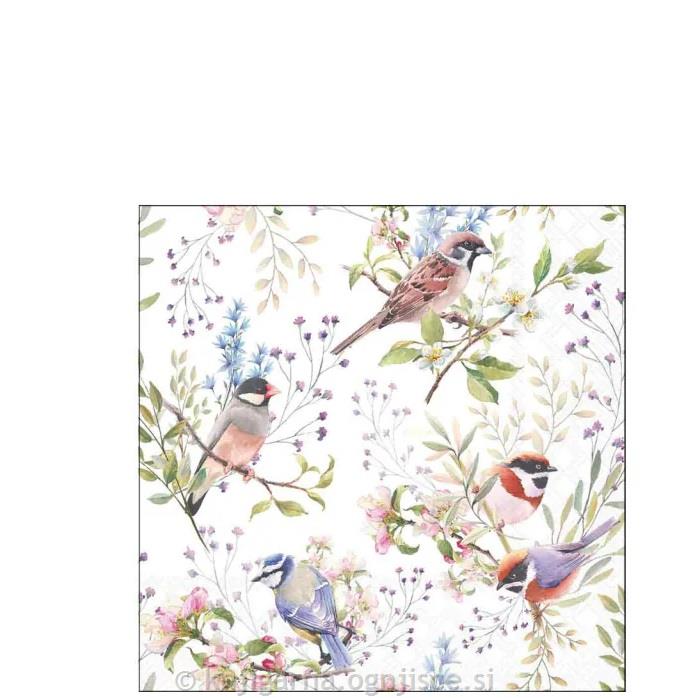 PRTIČKI NAMIZNI 25x25 PTICE V VEJAH