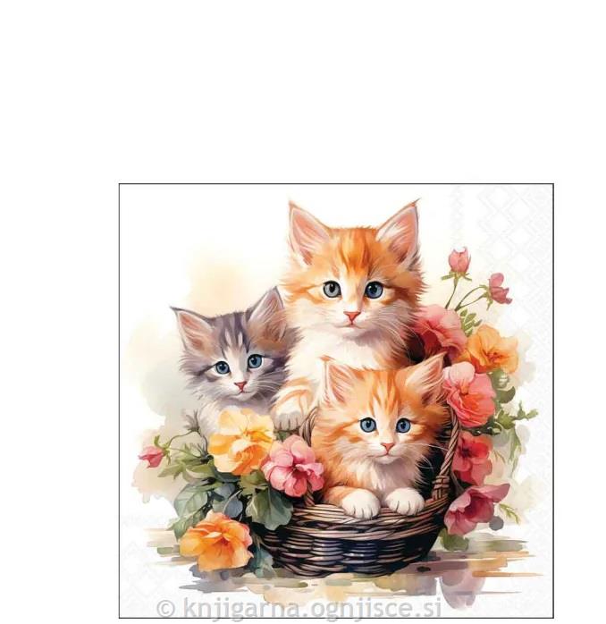 PRTIČKI NAMIZNI 25x25 MUCKE V KOŠARAH