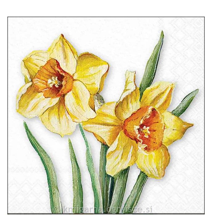 PRTIČKI NAMIZNI 33x33 CVETOČE NARCISE