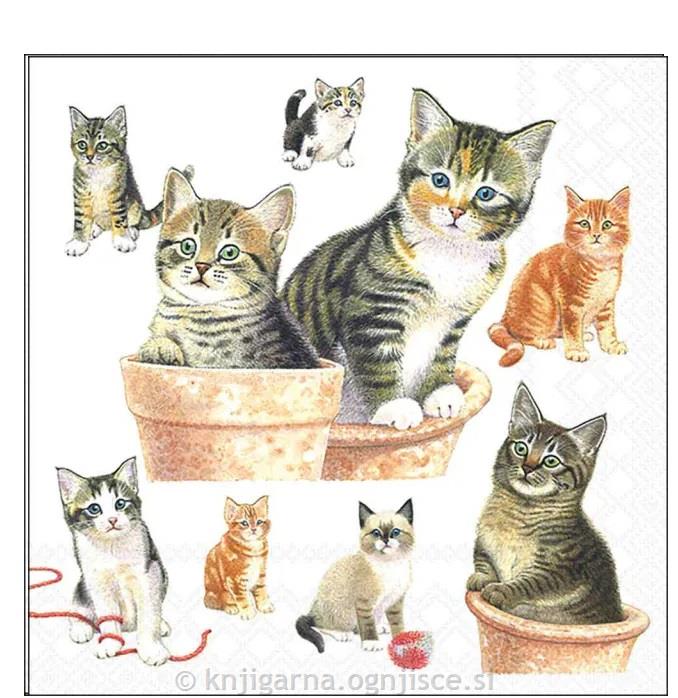 PRTIČKI NAMIZNI 33x33 MAČKE