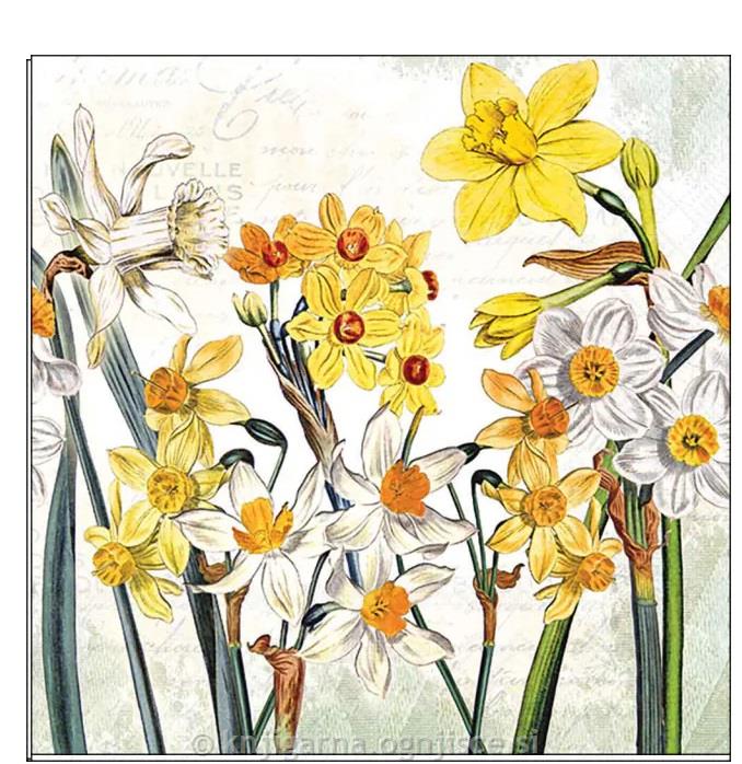 PRTIČKI NAMIZNI 33x33 NARCISE