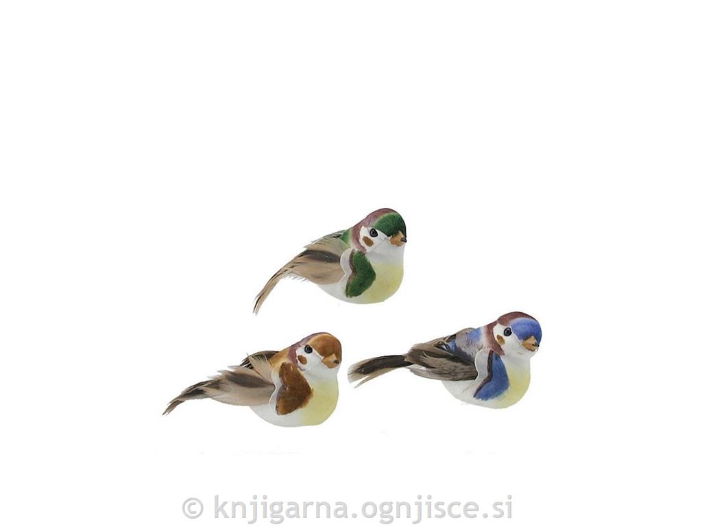 PTIČKI KOMPLET 3/1 6cm